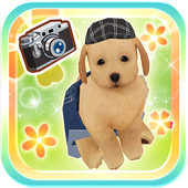 My Dog My Room 2 icon