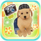 My Dog My Room 2 1.3.2