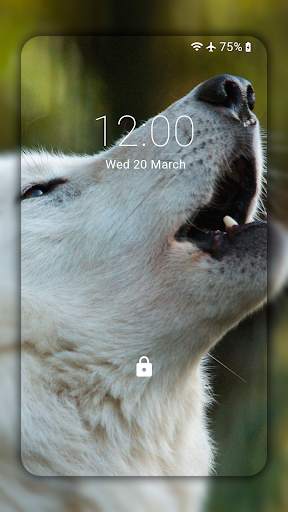 Wolf Wallpaper HD: Backgrounds screenshot 5