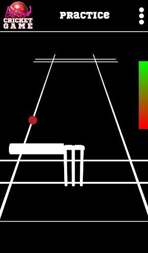 Blind Cricket screenshot 9