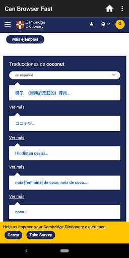 Can Browser Fast screenshot 4