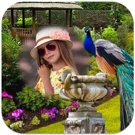 Peacock Photo Frames 1.0.4
