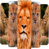 🐯 Lion Wallpapers - Angry HD 3D 4K Pictures 2021❤ logo