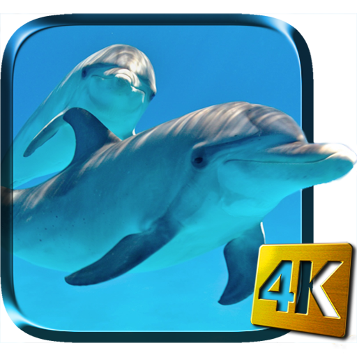Dolphins Live Wallpaper icon