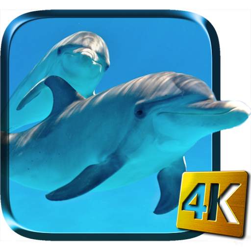Dolphins Live Wallpaper 2.0