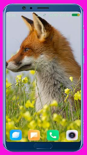 Fox Wallpaper Best 4K screenshot 11