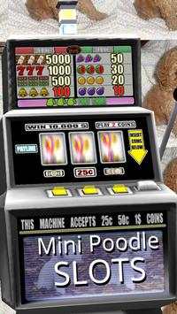 3D Mini Poodle Slots - Free स्क्रीनशॉट 3