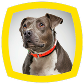 Dog Barking Sounds icon