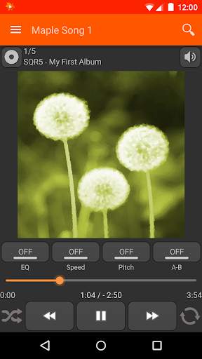 Maple Player JB screenshot 1