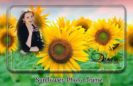 Sunflower Photo Frames screenshot 2