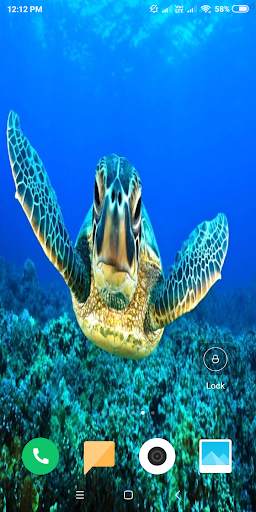 Turtle HD Wallpaper screenshot 16