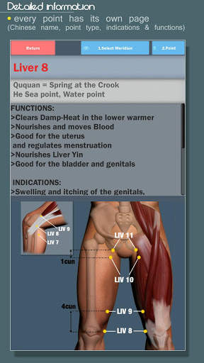Easy Acupuncture 3D -LITE screenshot 3