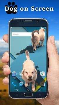 Dog On Screen screenshot 3