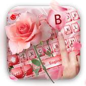 beautiful pink rose keyboard theme 10001002