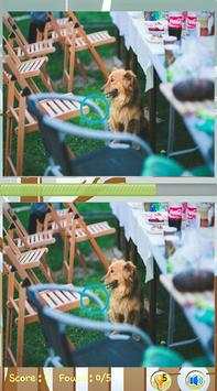 Find Difference Between Two Pictures Games screenshot 2