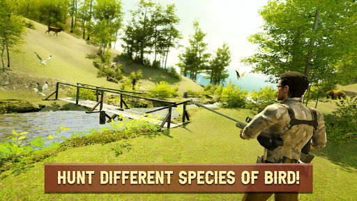 Bird Hunting Simulator - Duck Hunt Shooting Game screenshot 2
