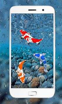 Fish Live 3D Wallpaper 2018 : Dynamic Aquarium Koi screenshot 1