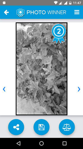 PhotoWinner, mejora tu foto en un solo clic screenshot 7