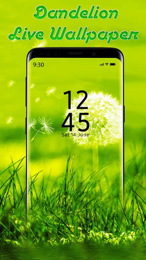Beautiful Dandelion APUS Live Wallpaper screenshot 1