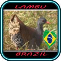 Canto da Lambu Novo Mestre on 9Apps