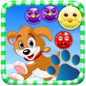 Paw Puppy Bubble