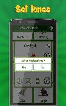 Birds Calls Sounds Ringtones screenshot 4