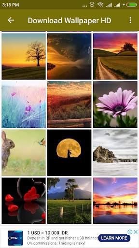 Download Wallpaper HD screenshot 1