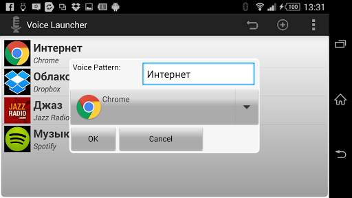 Voice Launcher & Widget screenshot 10