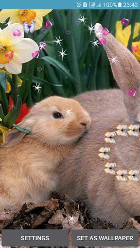 Rabbit Live Wallpaper screenshot 2