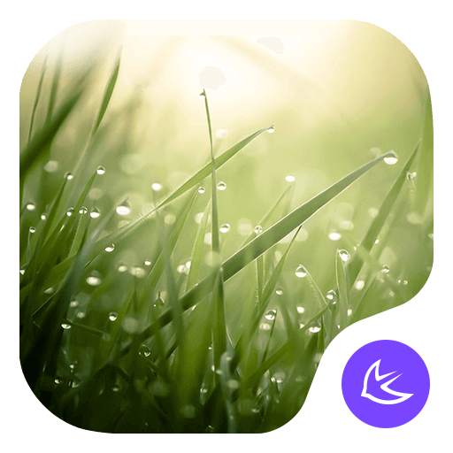 Lush-APUS Launcher theme 568.0.1001