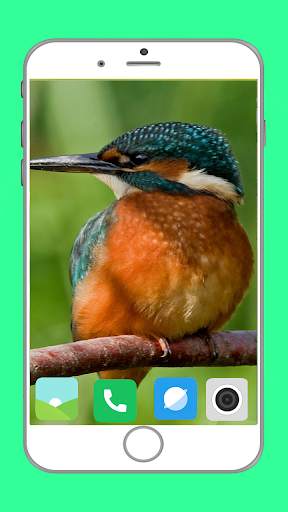 Birds Full HD Wallpaper स्क्रीनशॉट 14