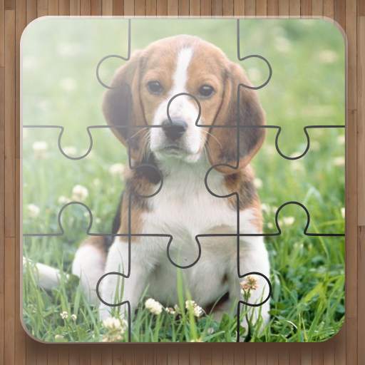 Dog Puzzle Games 2.41