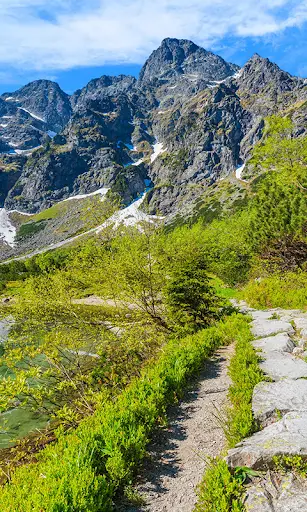 Mountain Live Wallpaper (wallpapers & backgrounds) screenshot 1