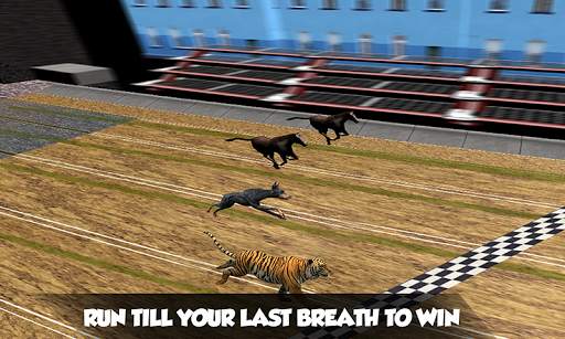 Crazy Real Dog Race: Greyhound Racing Game screenshot 1