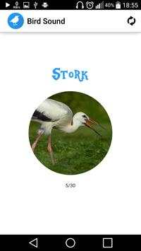 Bird Sounds screenshot 5