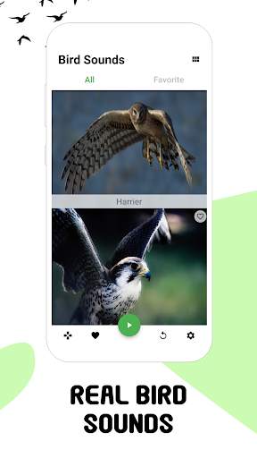 Bird sounds screenshot 3