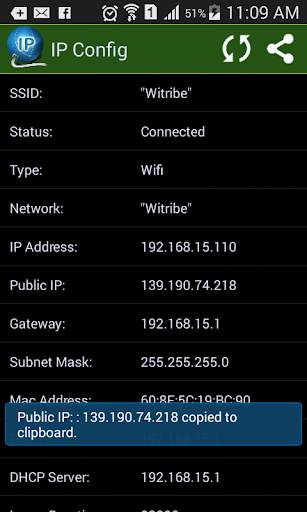 IPConfig - What is My IP? screenshot 2