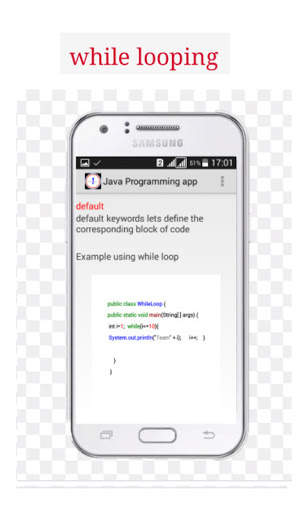 Java Programming app screenshot 2