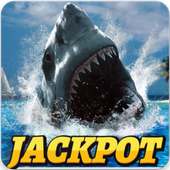 CASINO MEGA WIN : Wild Shark Slot Machine logo