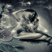 Flower Fairy Live Wallpaper أيقونة