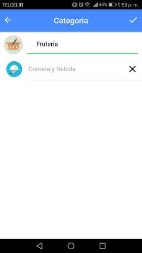 Mis Finanzas screenshot 6