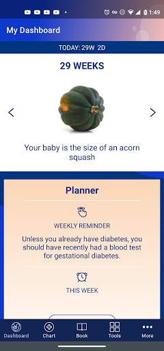 My Pregnancy A to Z screenshot 2