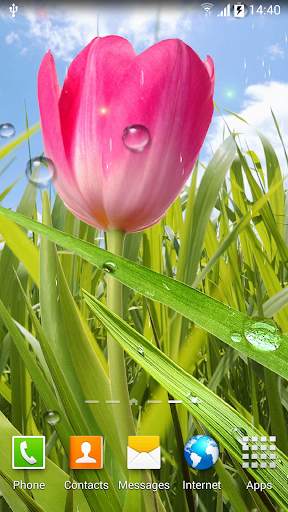 Spring Live Wallpaper screenshot 3
