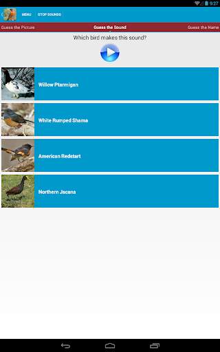 North American Birds Free screenshot 21