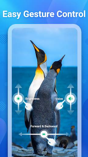 Video Player All Formats HD screenshot 6
