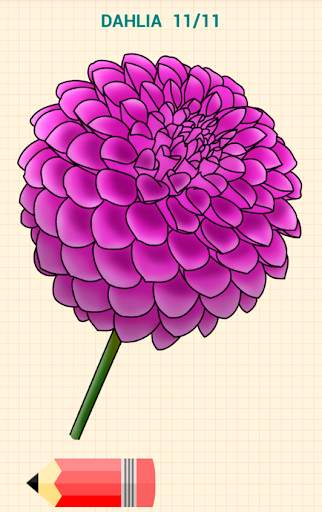 How to Draw Flowers screenshot 12
