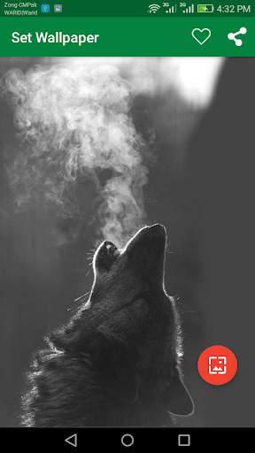 10000 WildLife Wallpapers screenshot 4
