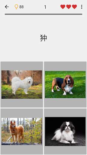 犬 - すべての一般的な犬の品種に関するクイズ screenshot 4