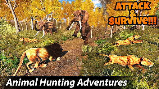 Wild Lion Games 2021: Angry Jungle Lion Games 3D screenshot 5