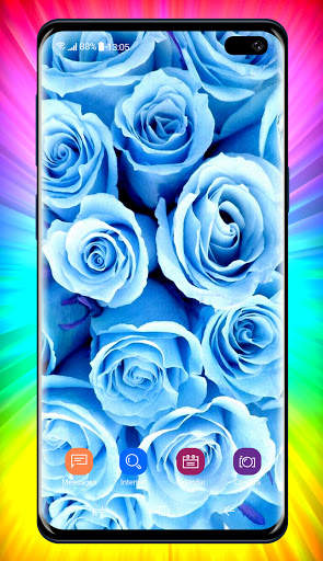 Rose Wallpaper 7 تصوير الشاشة
